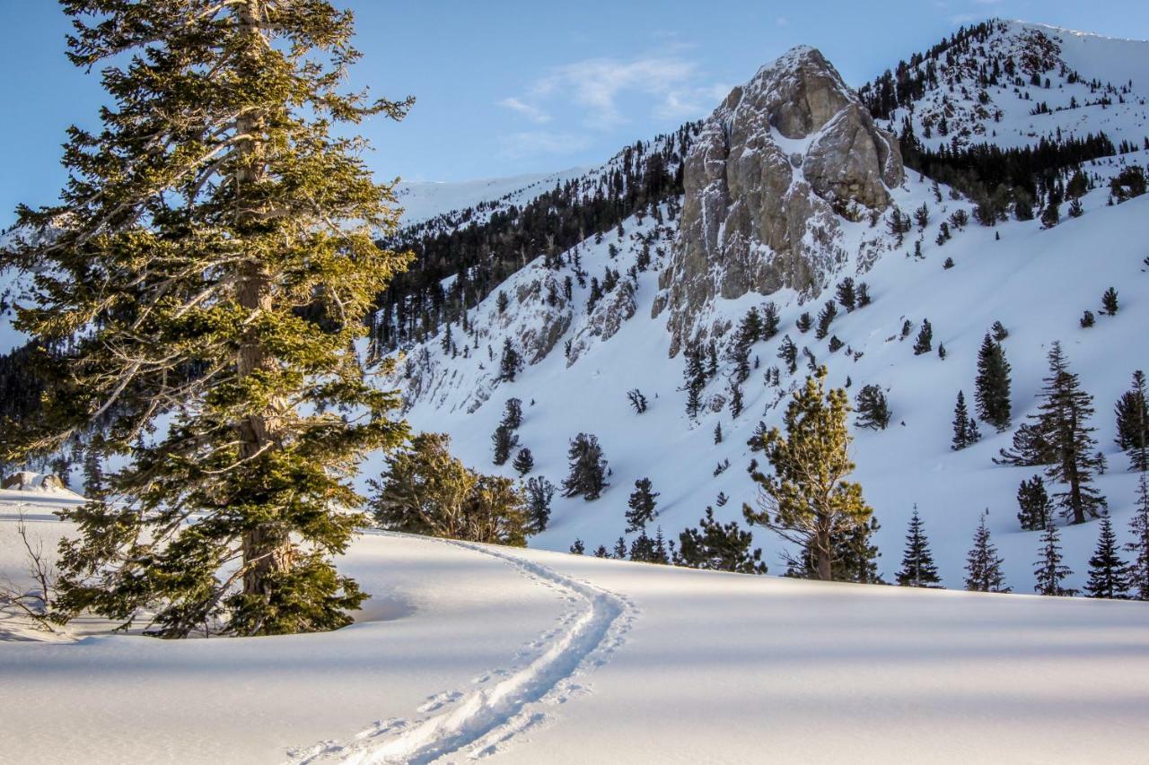 Val D'Isere 45 Daire Mammoth Lakes Dış mekan fotoğraf